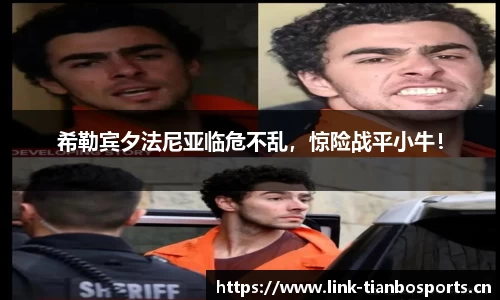 天博体育官网